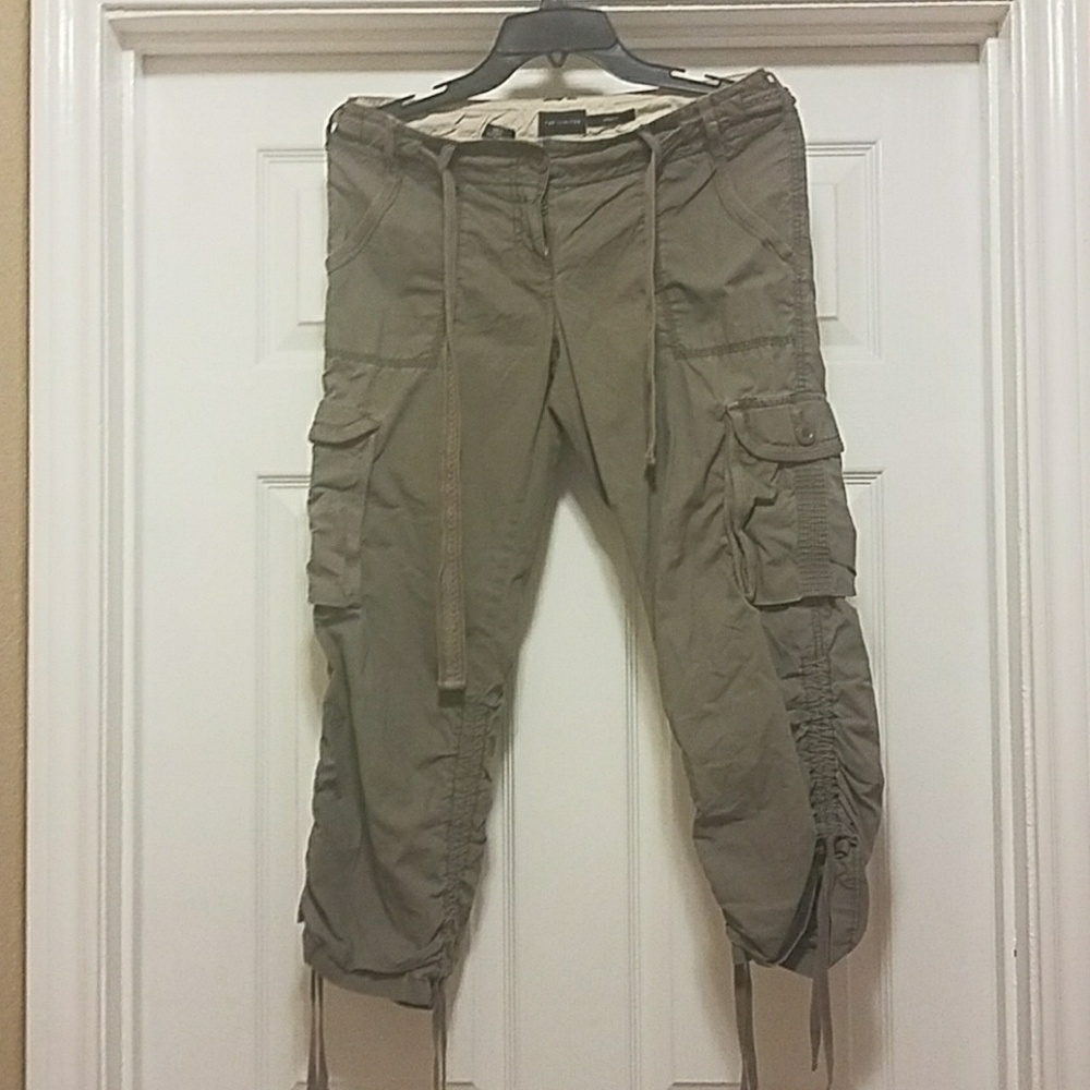The Limited cargo pants
